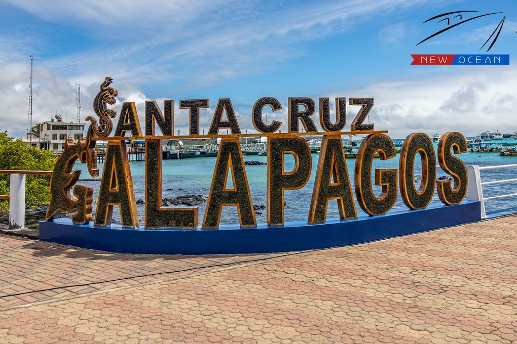 Qué hacer o ver en la Isla Santa Cruz, Galápagos 2 que hacer isla santa cruz galapagos actividades